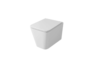 Унитаз подвесной OWL Vatter (OWLT190401) безободковый с сиденьем DP микролифт