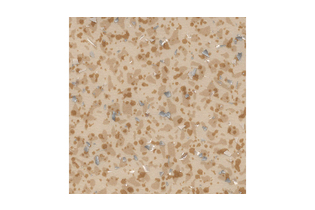 Линолеум Tarkett коммерческий Acczent Mineral As 100010 3 м